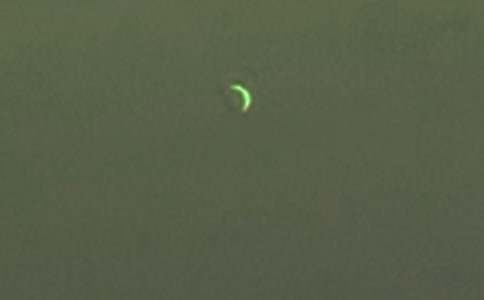 ����˵˵���ԣ���ѡ40�䣩