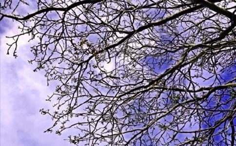 ��־�簲˵˵��ͨ��60�䣩