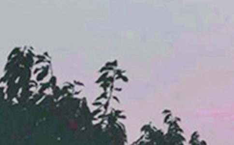 �Ƽ���ܰ�簲���Ի���50�侫ѡ