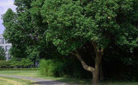 ���������簲˵˵����90��