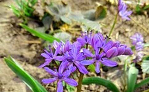 ��������簲����Ȧ���ܣ�ͨ��170�䣩