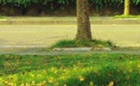 �й���־�簲˵˵����145�侫ѡ