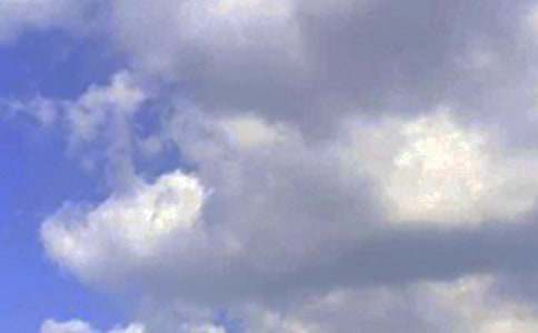 ���Ƽ�����ů���簲QQ�ʺ���29��