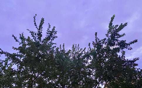 ����������簲˵˵155�侫ѡ