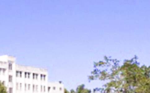 2024年常用优美的早安心语朋友圈集锦49条