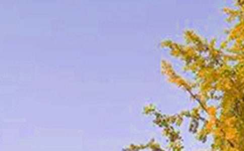 2024年简短的真诚温暖的早安心语朋友圈汇编53句