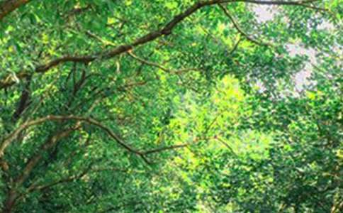 ��������簲˵˵190�侫ѡ