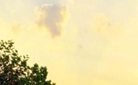 【热门】2024年唯美的早安QQ问候语42条