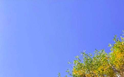 �����簲���ԣ���ѡ100�䣩