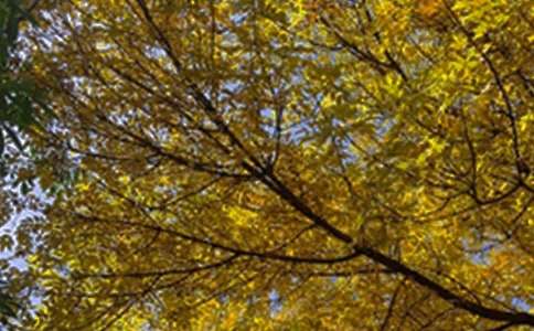 【精华】温暖的早安朋友圈问候语汇编57条