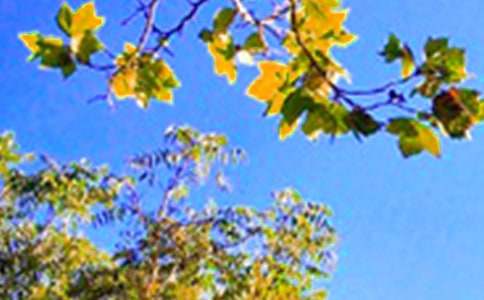 �й������簲�ʺ��Ｏ��32��