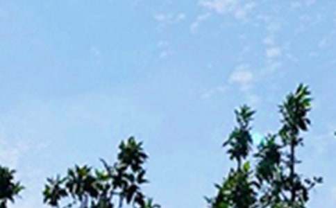 ͨ�����õ��簲����Ȧף����32��