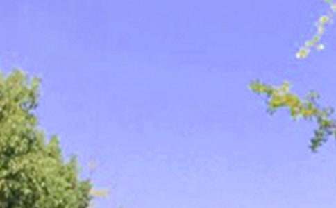 �����������簲˵˵��ͨ��155�䣩