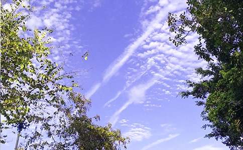 2026�꾫ѡ�������簲����Ȧ�ʺ���41��