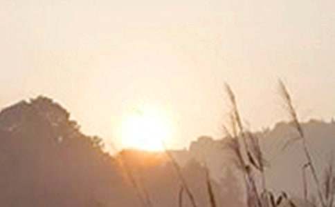 有关治愈系早安QQ问候语合集64句