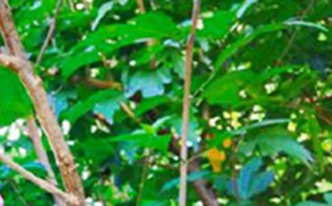 ��������ϵ�簲�ʺ�����¼30��