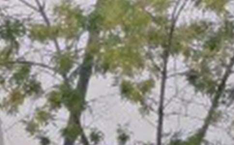 ʵ�õ�ÿ��һ���簲�ʺ���31��