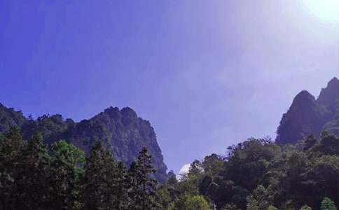 �żҽ��μ�����13ƪ