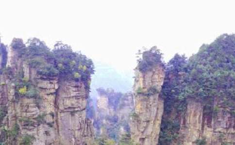 ���żҽ�����800��