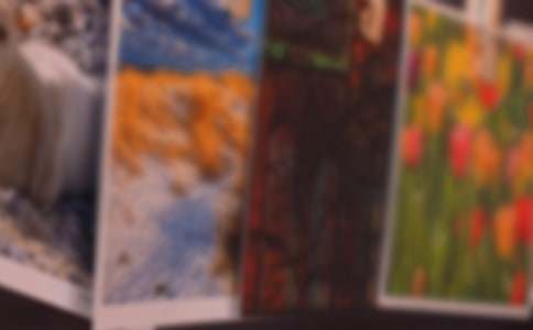 照片里的故事作文700字