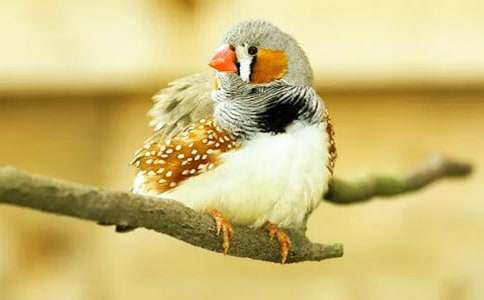 �������񡷶���У���ѡ20ƪ��