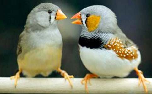 �����������им���15ƪ