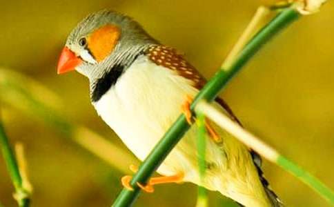 �����������и�15ƪ