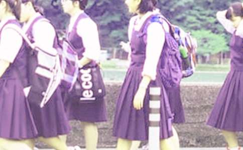 [��]����ѧ���ۺ�������������15ƪ