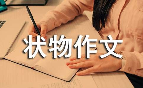关于状物作文300字五篇