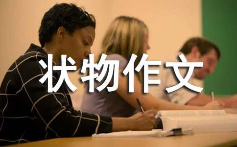 ���ڳ�һ״������300�ּ���ʮƪ