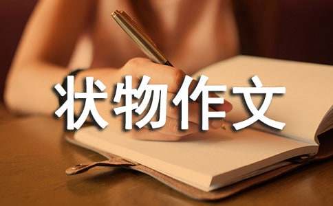 【必备】三年级状物作文集锦10篇