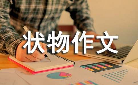 ���꼶״������(����10ƪ)