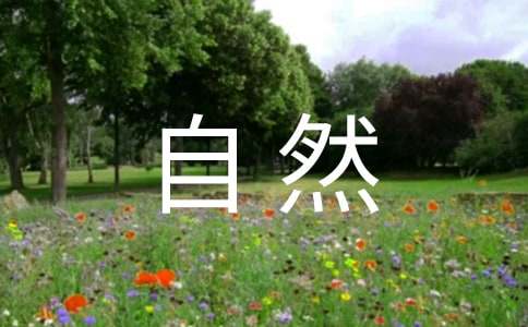 ��������Ȼ�ı���