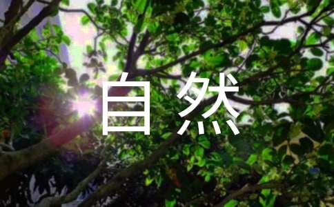 【实用】自然作文300字4篇