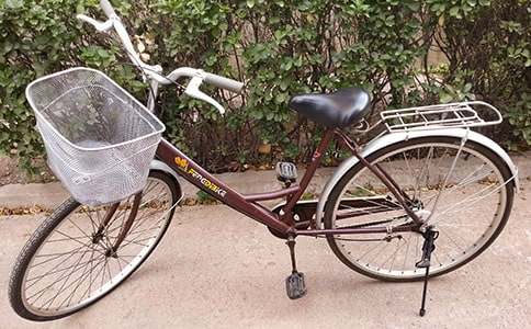 来的自行车作文800字