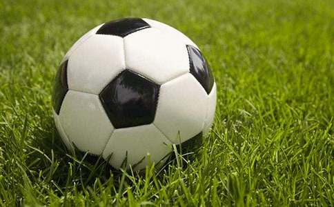 ��ѡ����Сѧ����300����ƪ