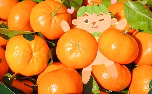 ��ѡ���ӵ�����400����ƪ