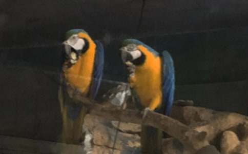 ��������600��(��)