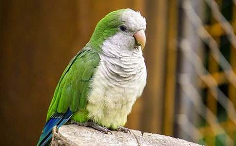 ���ĵ�����600�ִ�ȫ��6ƪ��