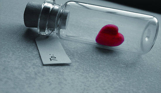 2024�갮����Ի���53��