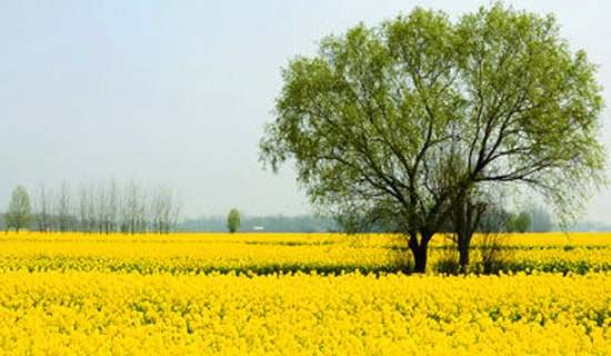 ���λ�ܽ�15ƪ