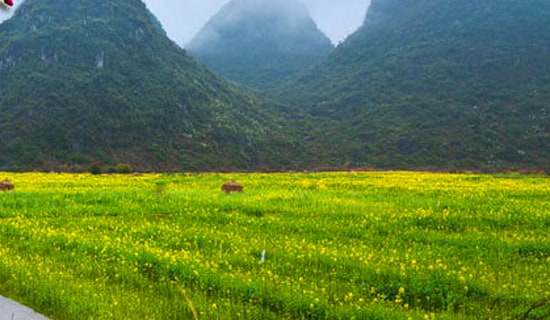 �����š������μ�����